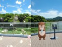 아산 신정호정원 ‘달빛누리교’ 증강현실 포토존 첫선