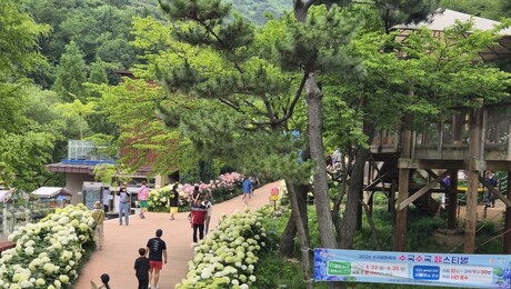 진주 월아산 수국정원축제 45만명 몰렸다…초여름 대표축제 ‘우뚝’