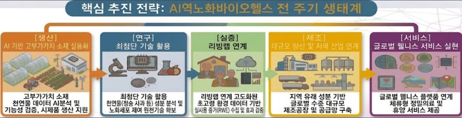 역노화산업 핵심 추진 전략, 경북도 제공.