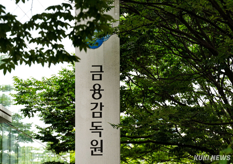서울 여의도 금융감독원 현판. 쿠키뉴스 자료사진