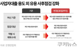 사업자대출로 집 사는 ‘꼼수’ 막는다…30일부터 사후점검 강화