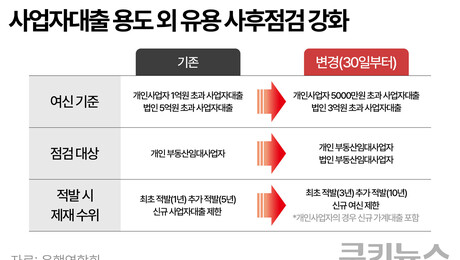 사업자대출로 집 사는 ‘꼼수’ 막는다…30일부터 사후점검 강화