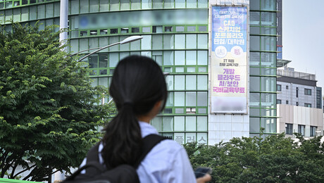 다급해진 취업, 800만원에 경력을 샀다 [신입 구함, 경력 필수③]