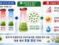[쿠키과학] 붉은빛에서 오메가3 생산성  1.5배… 생명연, 미세조류 최적 배양 조건 제시