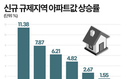 규제지역 지정된 동탄·기흥·구리…거래 감소 속 풍선효과 우려