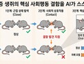[쿠키과학] ‘움직임으로 자폐 특징 찾는 AI’… KAIST, 행동 파운데이션 모델 제시