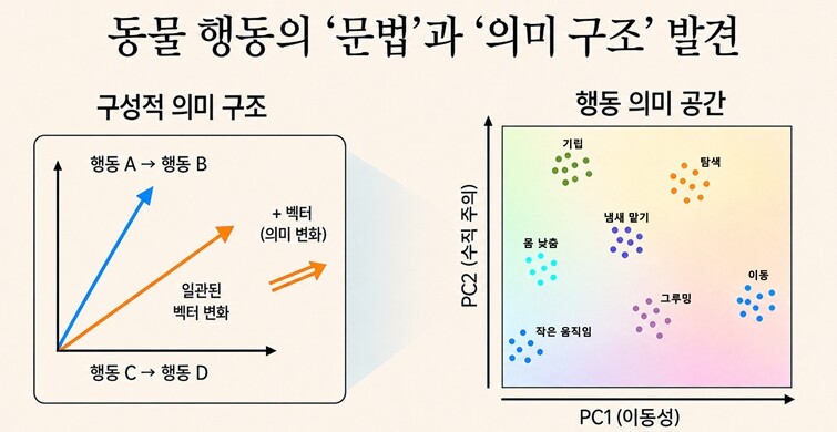 모델이 학습한 내부 표현 공간을 주성분분석(PCA)으로 시각화한 결과, 동물 행동이 이동성, 수직 주의, 사회적 관여 등 해석 가능한 축을 따라 기하학적으로 정렬된 구조. 행동 라벨이 없는 자기지도 학습만으로도 동일한 구조가 나타나, 동물 움직임 자체에 언어와 유사한 ‘구성적 의미 구조’가 내재함을 보여준다. KAIST