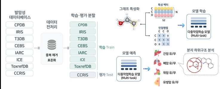 화학물질 정보를 그래프 형태로 변환한 뒤 다중작업학습 인공지능으로 간·폐·위·유방의 발암성을 동시에 예측하고 핵심 분자 구조를 분석하는 과정. 한국연구재단