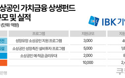 소상공인 살린다더니…기업銀 ‘1조 상생펀드’, 실제 집행 24%뿐