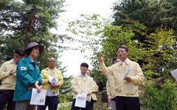박은식 산림청장, 성북구 소나무재선충병 긴급방제 현장점검 [쿠키포토]
