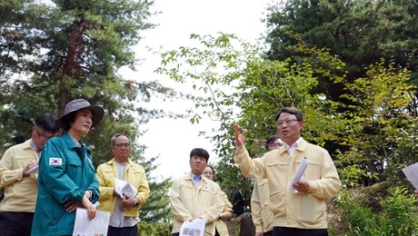 박은식 산림청장, 성북구 소나무재선충병 긴급방제 현장점검 [쿠키포토]