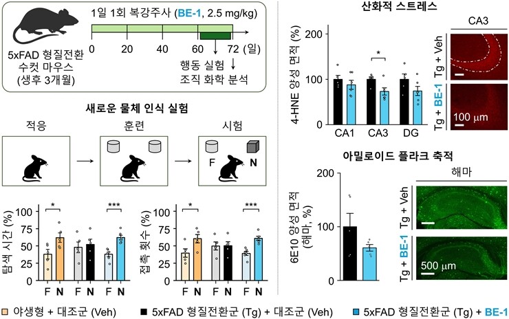 알츠하이머병 모델 마우스에서 BE-1의 생체 내 효능 평가 및 병리 완화 효과. KAIST