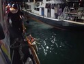 창원해경, 거제 장승포항 해상에 50대 익수자 구조