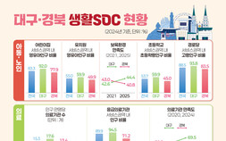 대구 생활SOC ‘우수’…경북은 의료·문화 인프라 접근성 과제