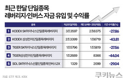 수조원 몰린 ‘삼전·닉스 레버리지’…기대와 다른 성적표