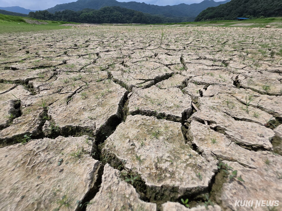 한강 수계댐들이 여름철 홍수에 대비한 수위조절에 들어가며 4일 강원 양구읍 월명리 일원의 파로호 상류가 바닥을 드러내며 거북이 등처럼 쩍쩍 갈라져 있다.