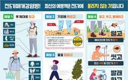 전남광주통합특별시 올해 첫 SFTS 환자 발생