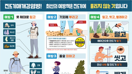 전남광주통합특별시 올해 첫 SFTS 환자 발생