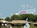 ‘스쳐가는 영주’는 옛말…‘하루 더 머무는 여행’으로 지역경제 살린다