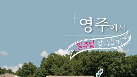 ‘스쳐가는 영주’는 옛말…‘하루 더 머무는 여행’으로 지역경제 살린다