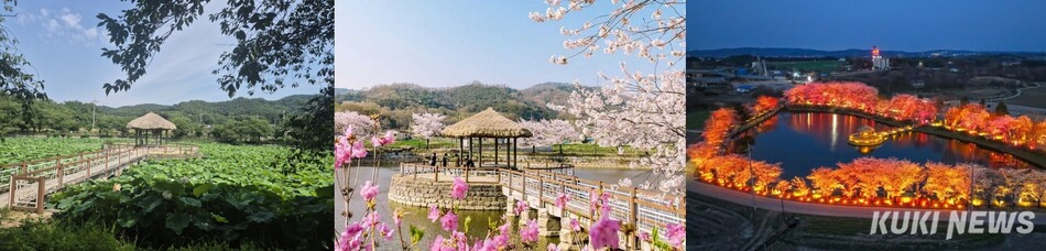 면천 골정지의 다양한 모습. 사진=이은성 기자