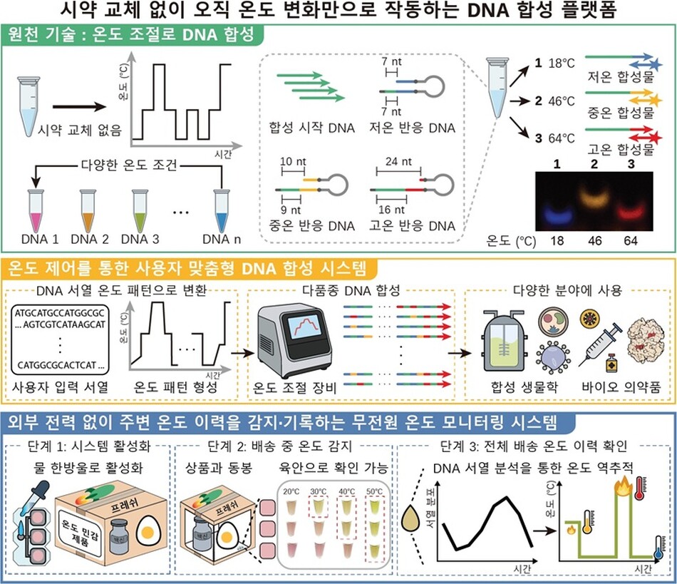 온도 제어만으로 맞춤 DNA 서열 합성이 가능한 다목적 DNA 합성 플랫폼. KAIST
