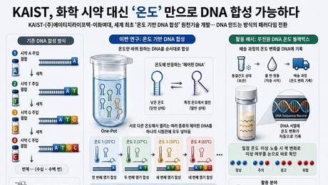 [쿠키과학] ‘온도만 바꿔 원하는 DNA 만든다’… KAIST, 세계 최초 합성기술 개발