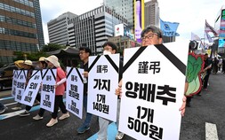 “양파 20㎏ 팔면 2000원 남아”…농산물 가격 하락에 성난 ‘농심’