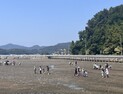 현미경으로 배우는 갯벌 생태…고성군 체험 프로그램 ‘인기’