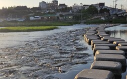 “비 오면 우산 된다”…김병삼 영천시장, 감성 SNS 눈길