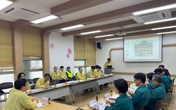 강동구서 소나무재선충병 감염목 확인…서울시 “확산 차단에 총력 다할 것”