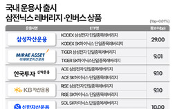 단일종목 레버리지 ‘투기 논란’에…15년 전 ELW 소환