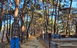 강릉 ‘춘갑봉 힐링로드’ 새단장 개소, 도심속 맨발걷기 명소로 인기