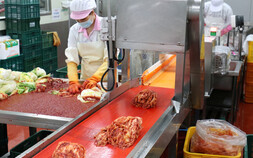전남광주 김치, 미국 수출 확대…장성 새벽팜 5.5톤 선적