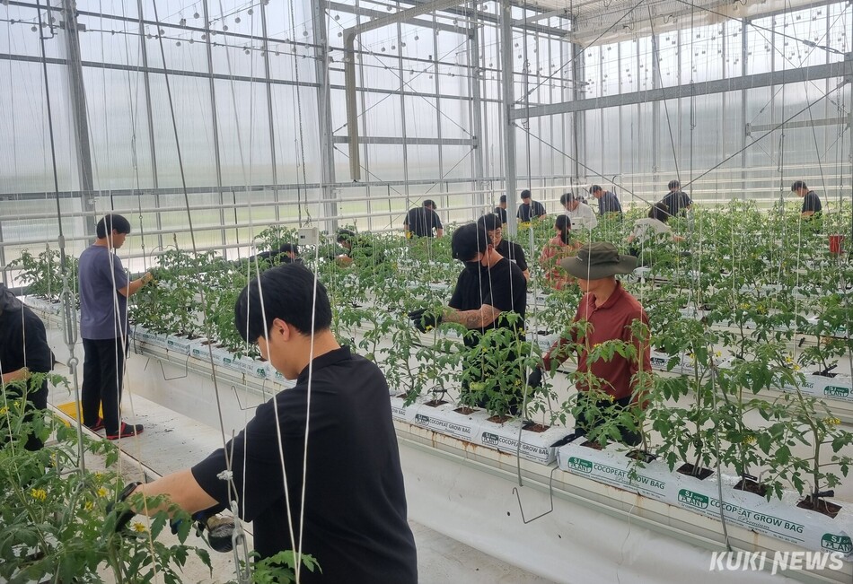 충남도 농업기술원은 오는 11월까지 제10기 스마트팜 청년창업 교육생을 대상으로 현장실습을 진행한다.