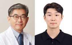 세포는 왜 살아남고 왜 죽을까…연세의대, 유전자 조절 원리 규명