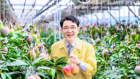 함안군, 애플망고 경쟁력 강화 나선다…농가와 현장 소통