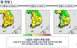경산·포항 첫 ‘폭염중대경보’…서울도 전역 폭염주의보, 전국 비상 대응