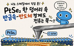 [쿠키과학] ‘반도체 전기 병목현상, 세계 최초 해결’… KAIST-성균관대, 반도체 접촉저항 해결 실마리