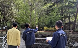 “후박나무 실형, 함백산 마가목 수사 총력”… 산림청, ‘칼 뺐다’