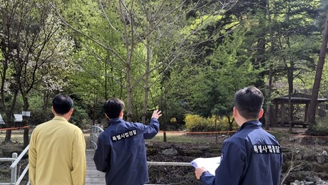 “후박나무 실형, 함백산 마가목 수사 총력”… 산림청, ‘칼 뺐다’