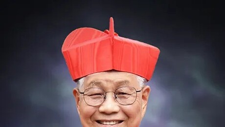 교황 레오 14세 충남 방문, 유흥식 추기경 행보에 쏠려