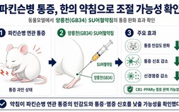 [쿠키과학] ‘파킨슨병 통증, 약침으로 줄였다’… 한의학연, 통증신호 억제기전 규명