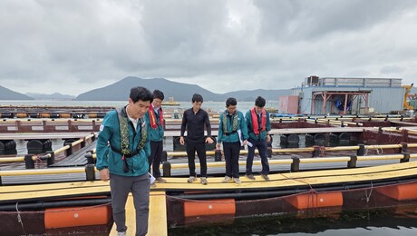 거제시, 적조·고수온 피해 예방 위해 현장점검