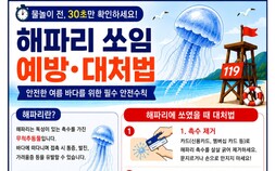 경북소방본부, 동해안 해파리 쏘임 사고 최근 4년간 53건