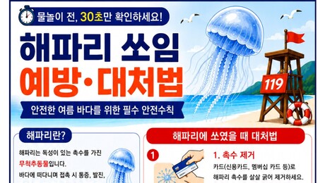 경북소방본부, 동해안 해파리 쏘임 사고 최근 4년간 53건