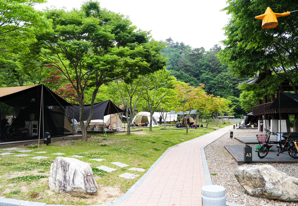 영양 국제밤하늘보호공원 캠핑장. 영양군 제공