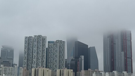 수천만원 묶여도 ‘0원’…공모주 청약 증거금도 이자 받나