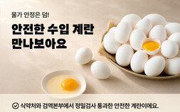 배민B마트, 수입 신선란 판매 시작 外 한화갤러리아 벤슨‧SK인텔릭스 [유통단신]