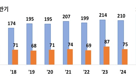 ‘딸기·포도·배 삼총사’… K-과일 프리미엄, 수출 역대 최대